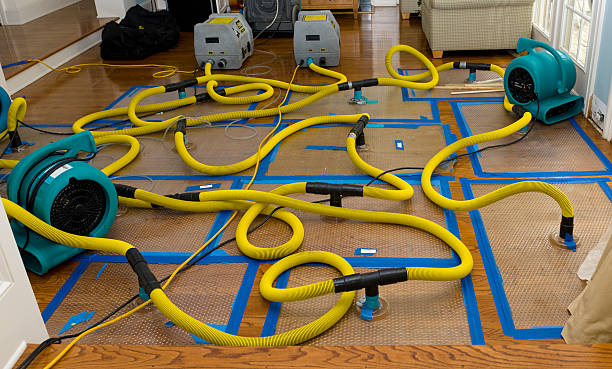 Professional Structural Drying And Dehumidification technician working in Coolville, OH